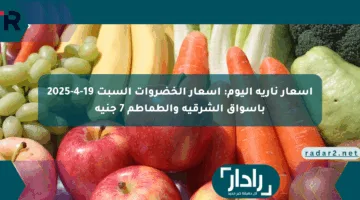 أسعار نارية اليوم: أسعار الخضروات السبت 19-4-2025 بأسواق الشرقية والطماطم 7 جنيه